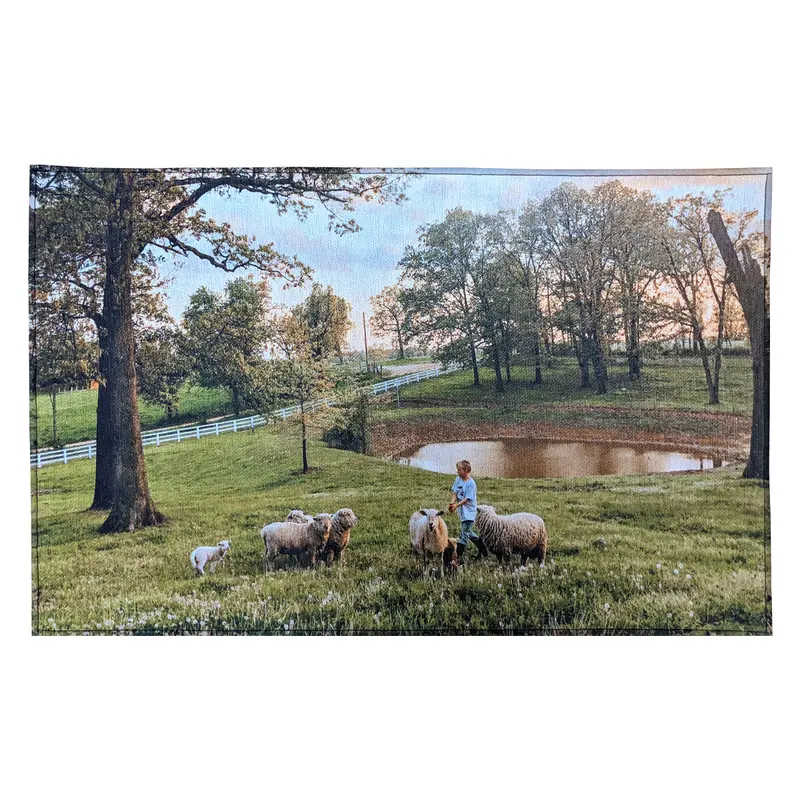 20" X 31" Compact Indoor Entryway Rug 1