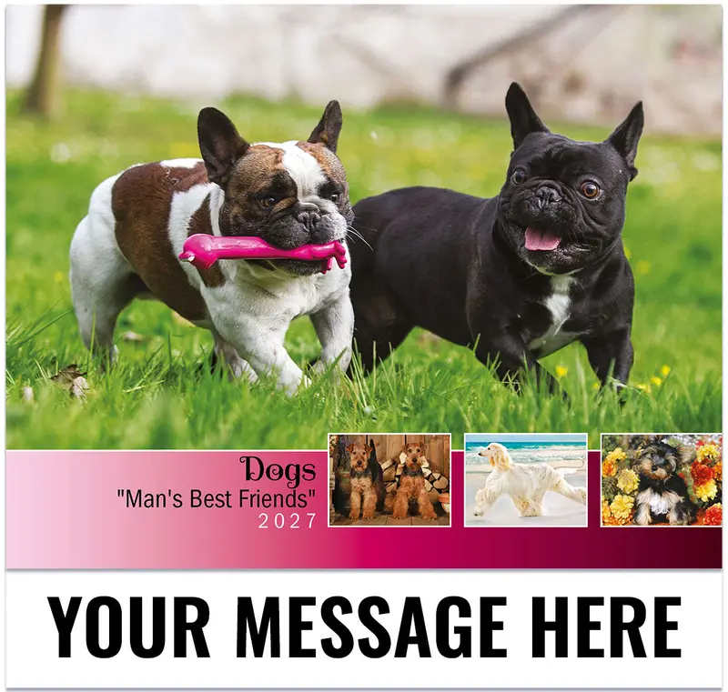 2027 Dogs: Man'S Best Friend Promotional Calendar 1