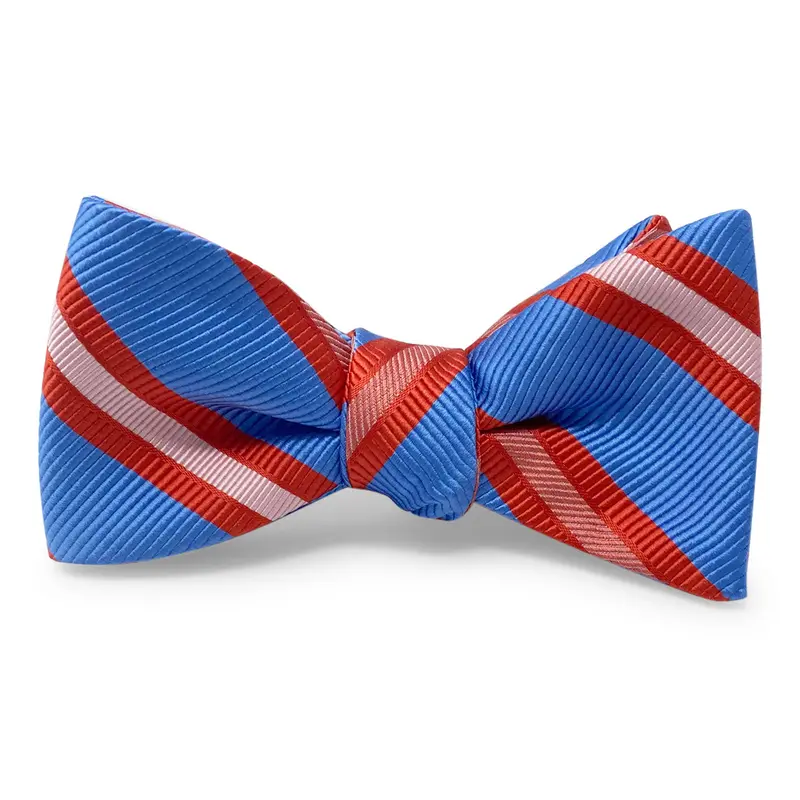 Allman Blue Bow Tie 1