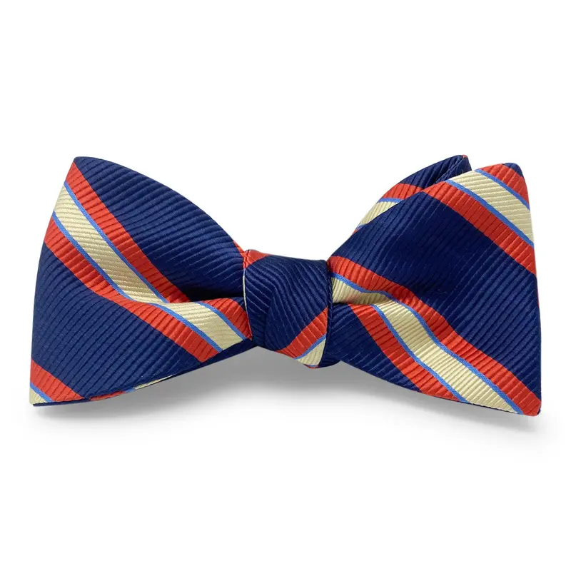 Allman Tribute Hair Bow In Navy 1