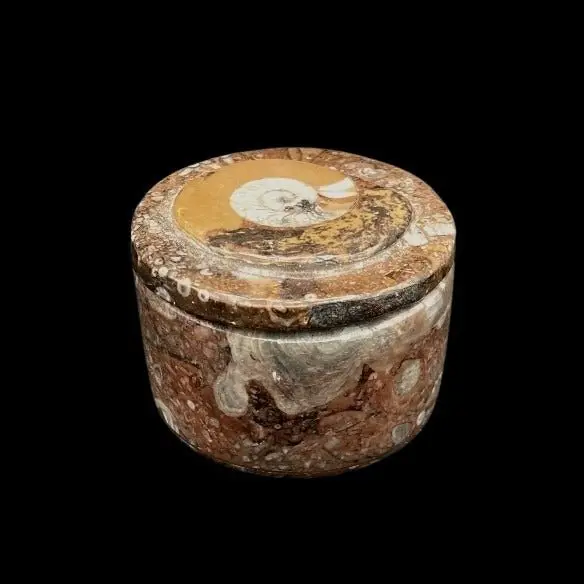 Antique-Style Brown Fossil Stone Ring Display Box 1