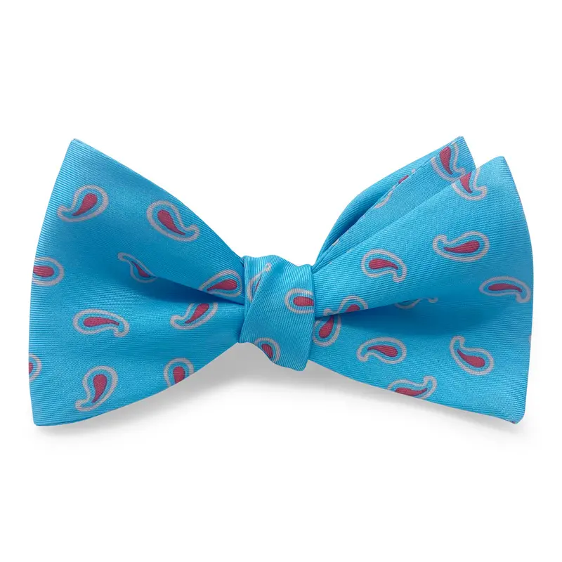 Aqua Bold Pines Hair Bow 1