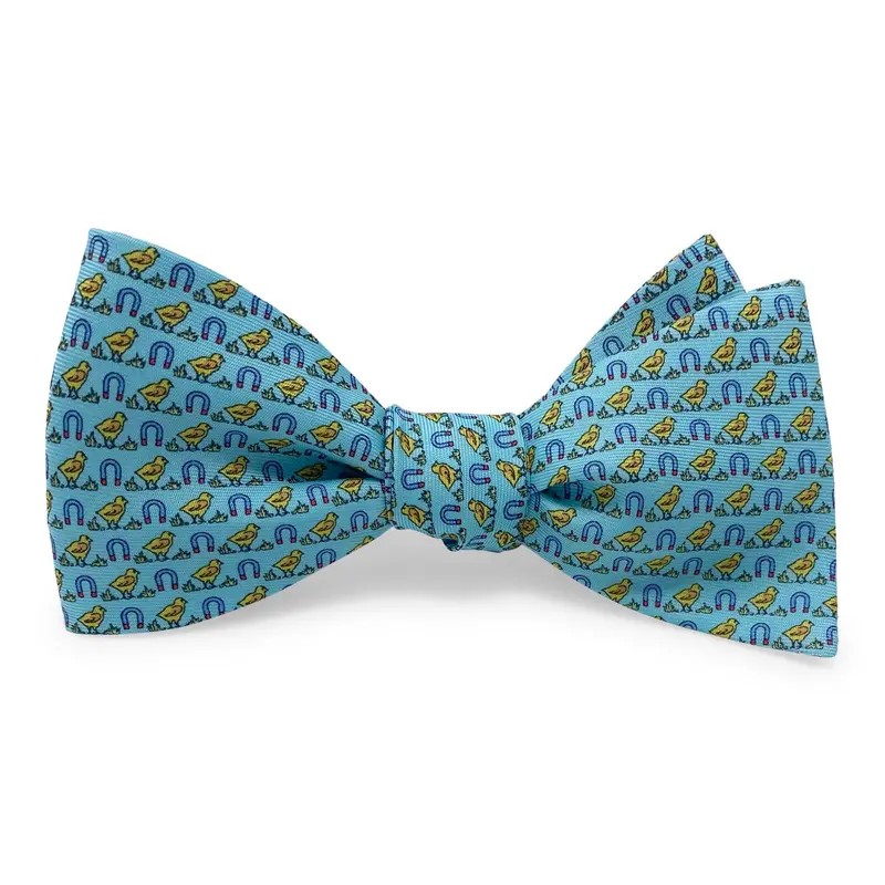 Aqua Chick Magnet Bow Hair Accessory 1