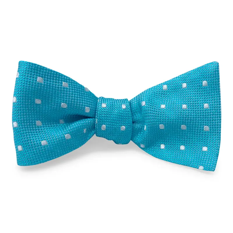 Aqua Sandy Lane Bow Hair Accessory 1