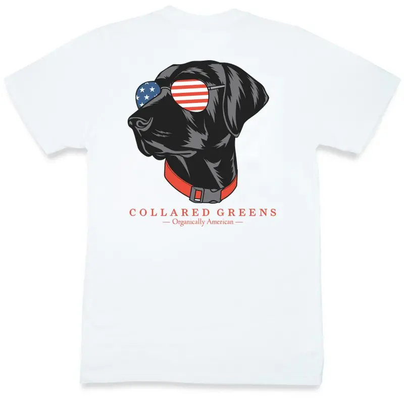 Aviator Lab Graphic Short Sleeve T-Shirt In White 1
