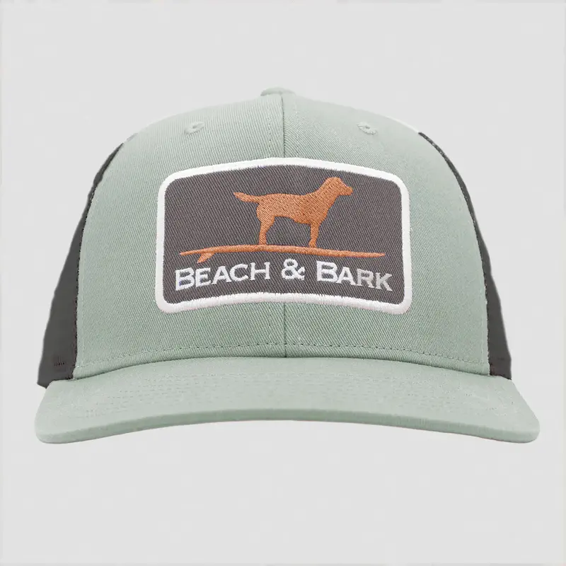 Beach & Bark Fern Print Dog Bandana Or Towel 1