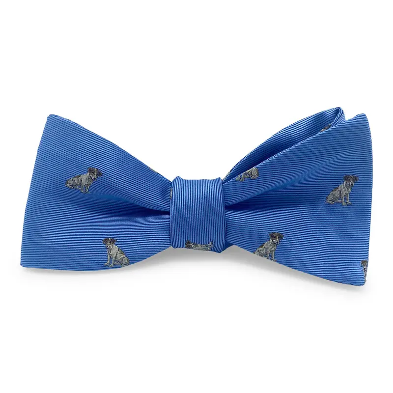 Beagle Blue Bow For Children 1