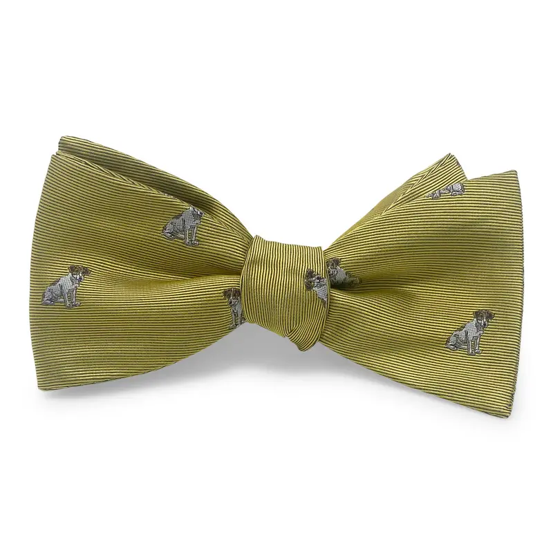 Beagle Yellow Bow Tie 1