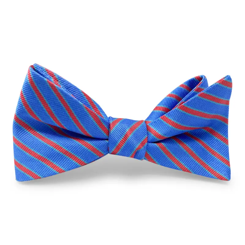 Beck Blue And Red Bow Tie 1