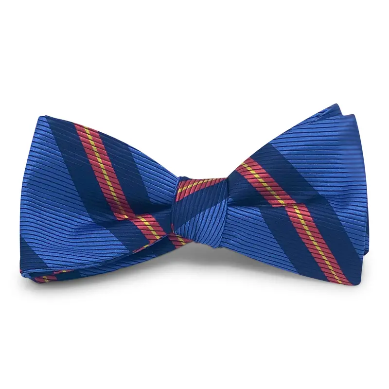 Belmont Hill Blue Hair Bow 1
