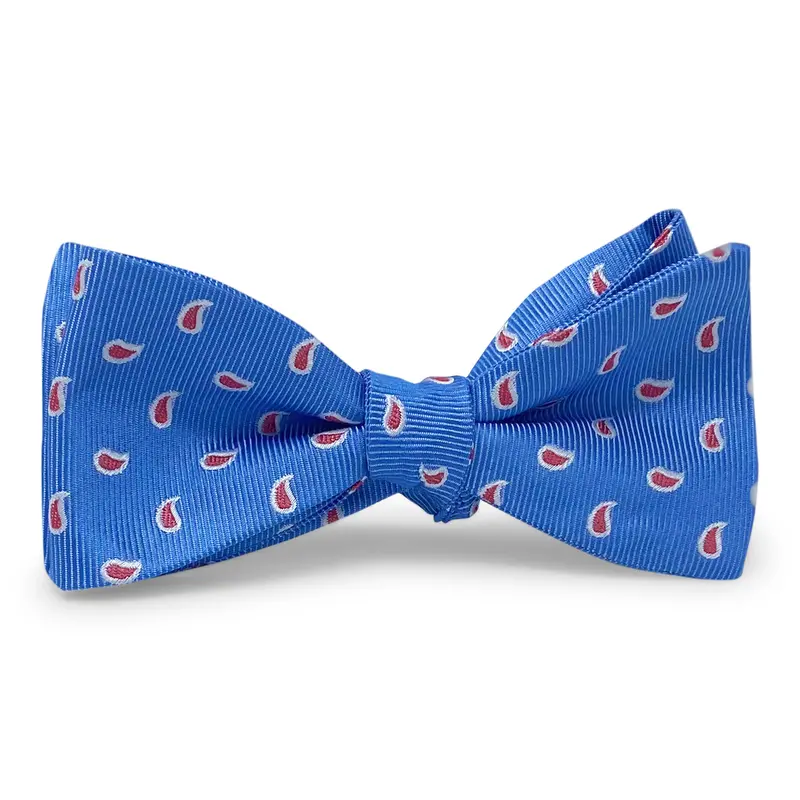Blue-And-Red Cape Cod Bow Tie 1