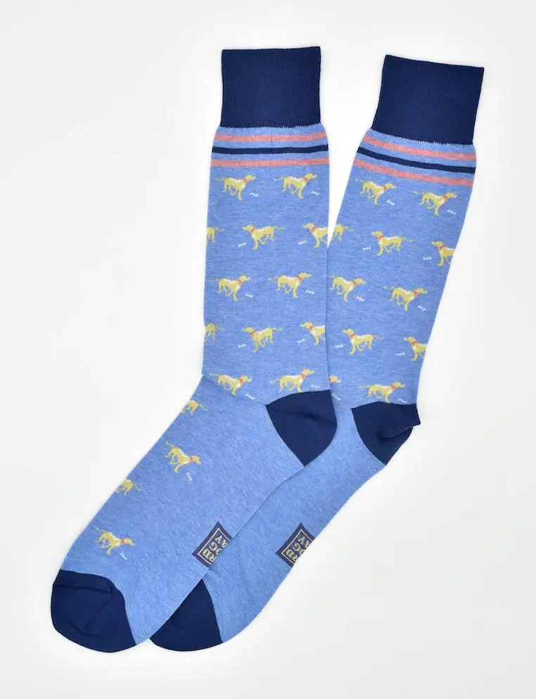 Blue And Yellow Lucky Labs Socks 1