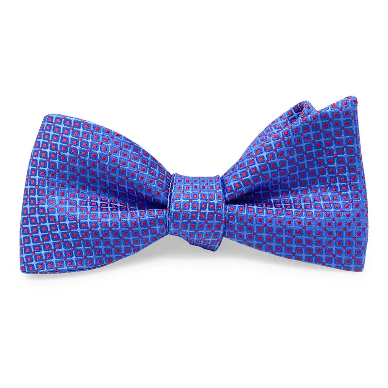 Blue Berry Pattern Bow Tie For Men 1