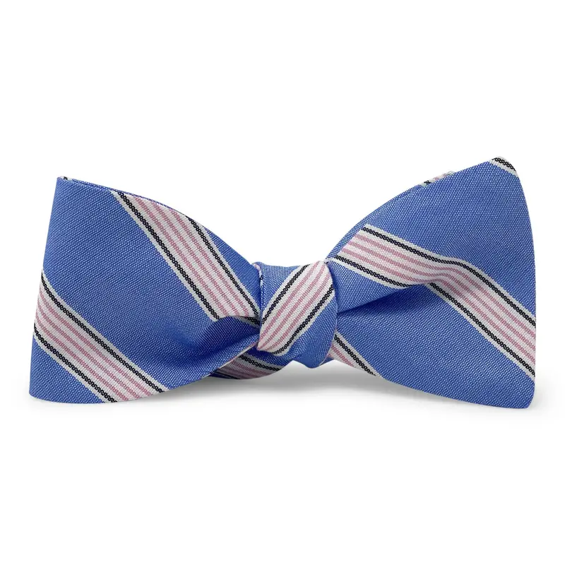Blue Catalina Bow Tie 1