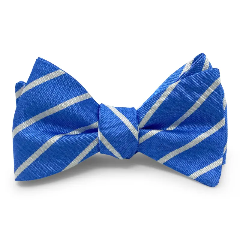 Blue Sloan Bow Tie 1