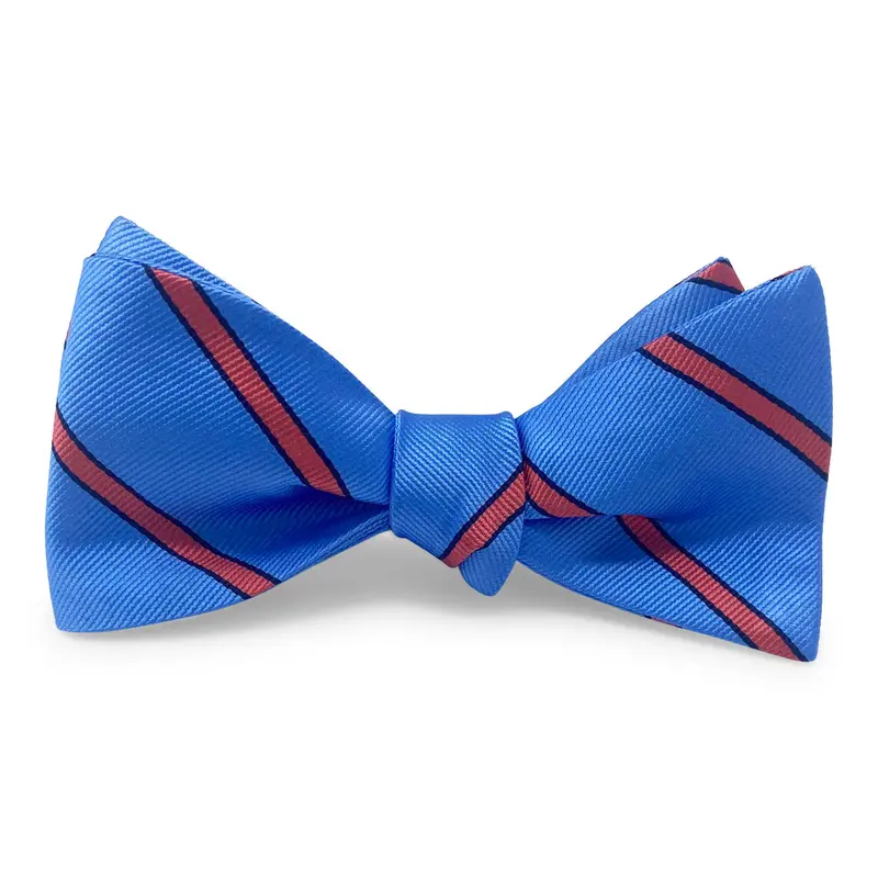 Blue Whistler-Mountain–Style Bow Tie 1