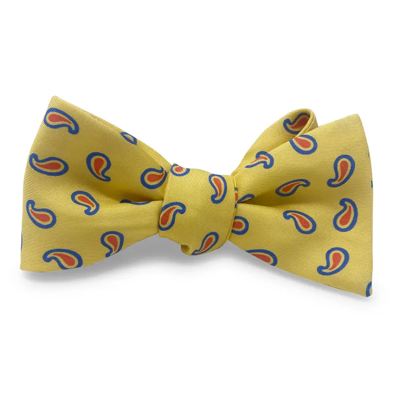 Bold Pines Yellow Bow 1