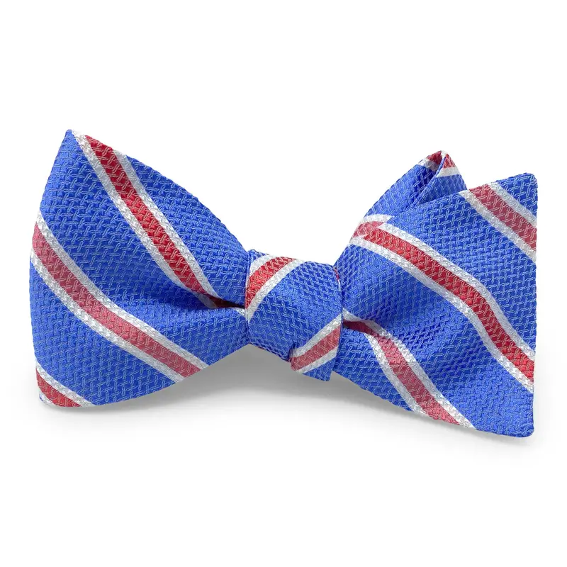 Bono Blue Bow Tie 1