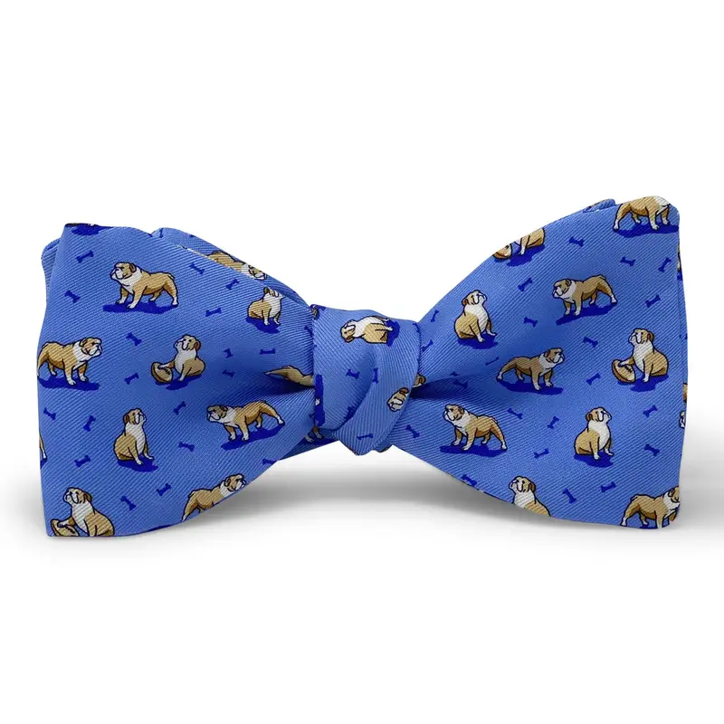 Bulldog Bonanza Light Blue Bow Accent 1