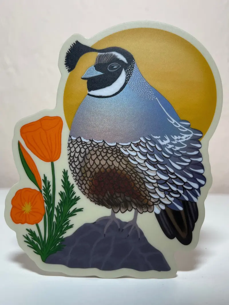 California Quail And Poppy Point-Of-Sale Sticker 1