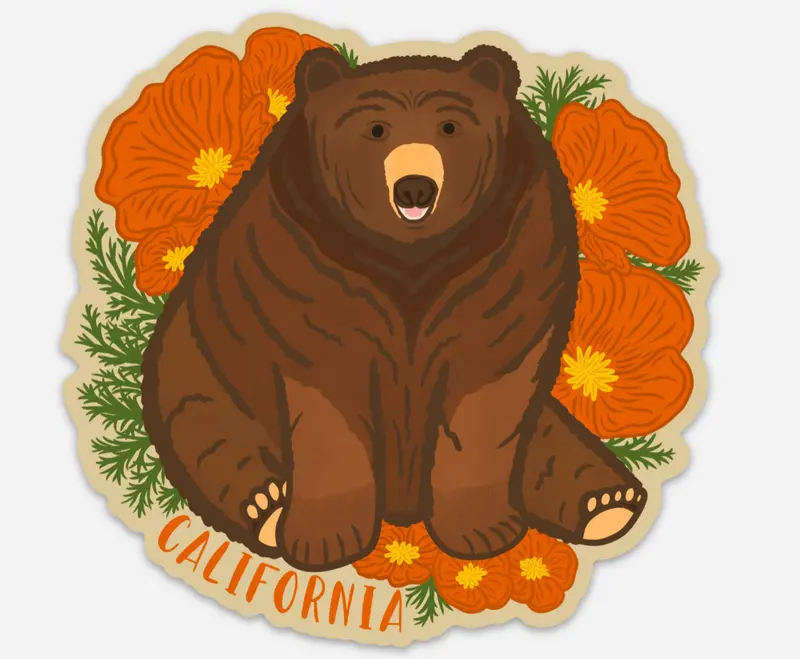 California State Bear And Poppy Enamel Pin – Patriotic Botanical Jewelry 1