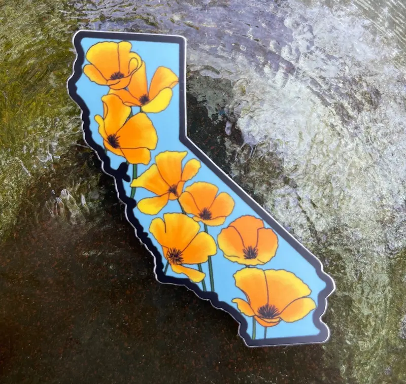 California State Flower Poppy Artwork 1