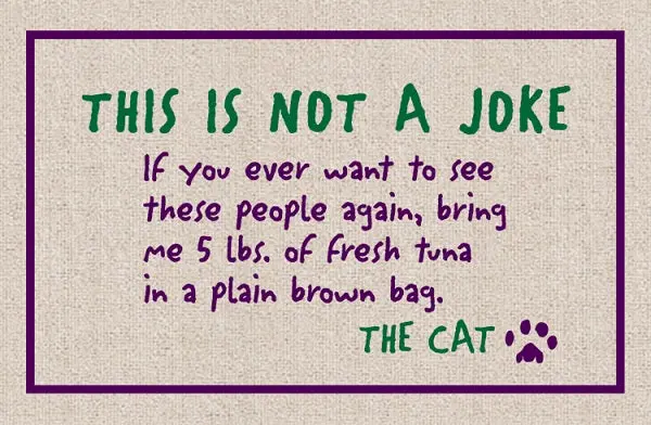 Cat Lover Olefin Doormat – 'Not A Joke – The Cat' 1