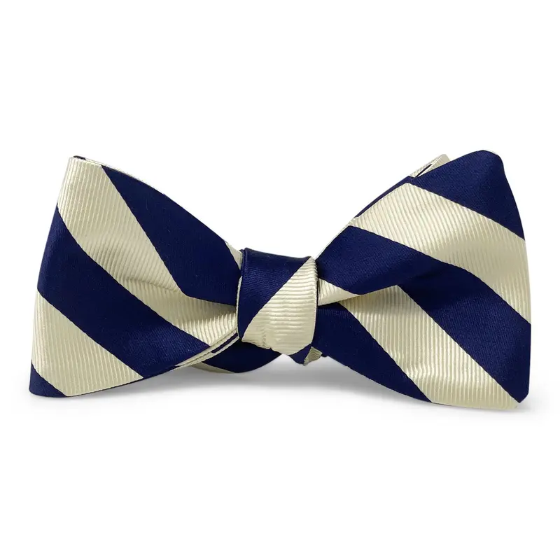 Chester Royal Blue And White Bow Tie 1