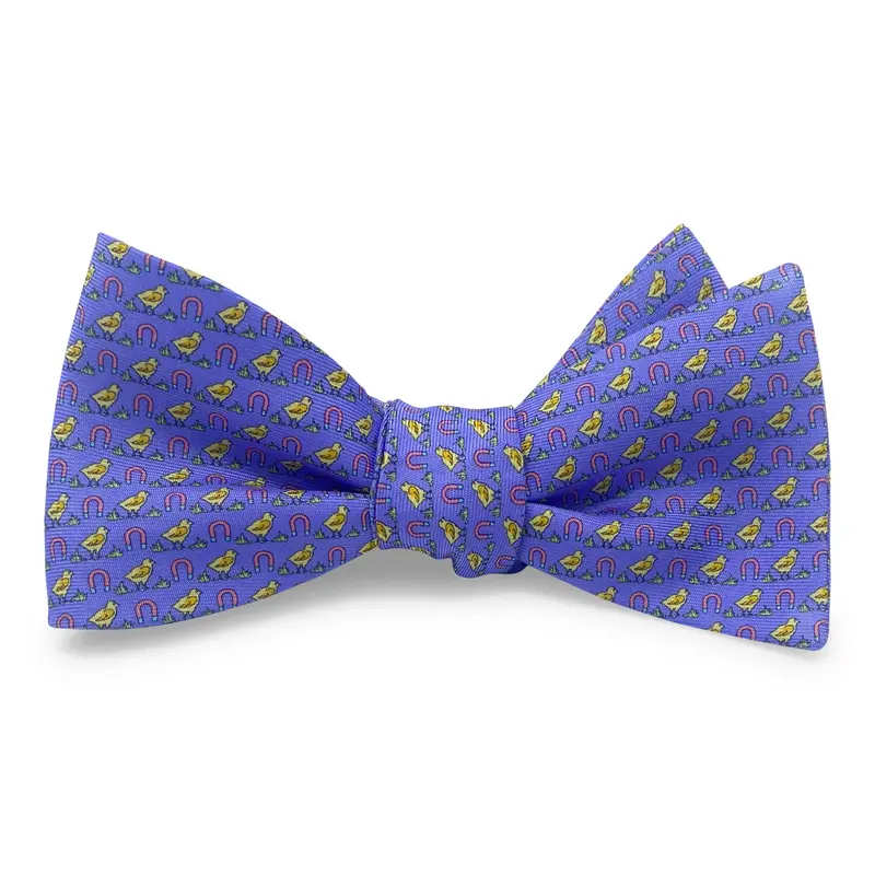 Chick Magnet Purple Bow For Girls 1