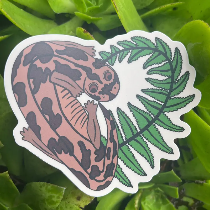 Coastal Giant Salamander With Fern Illustration 1
