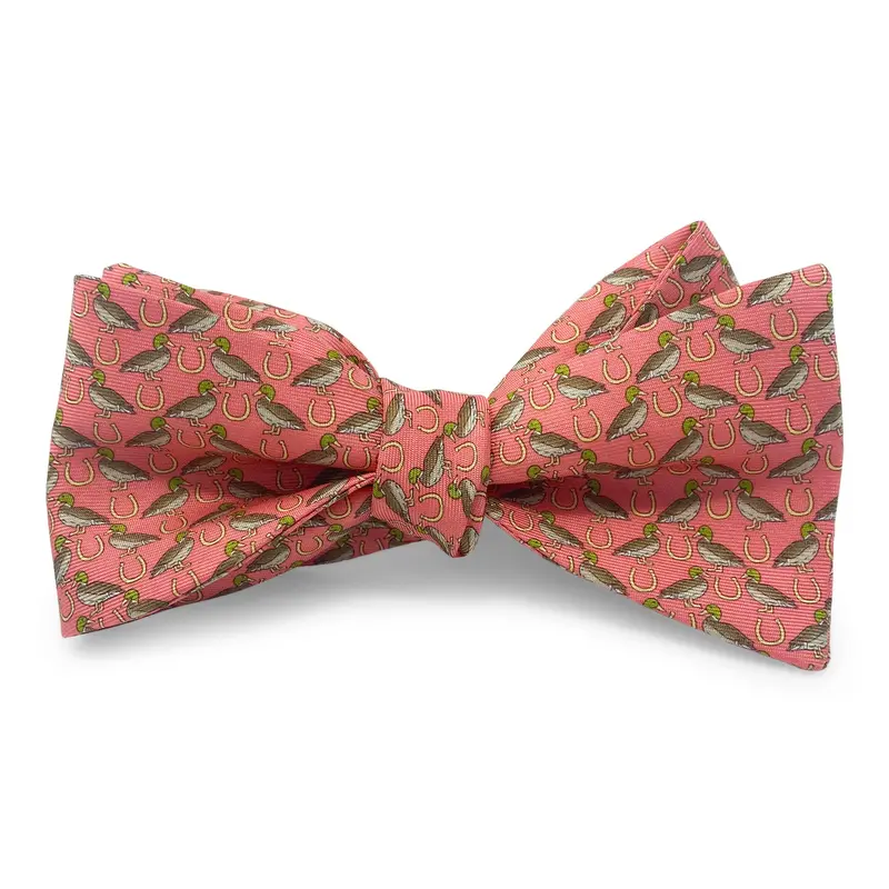 Coral Lucky Duck Theme Hair Bow 1