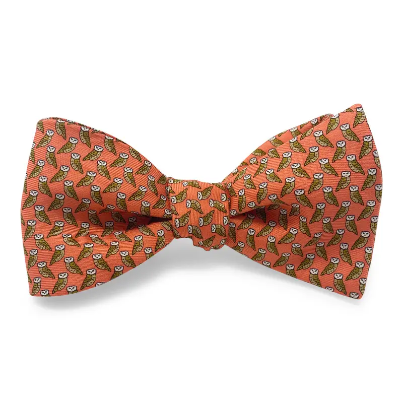 Coral Owl-Themed Hair Bow 1