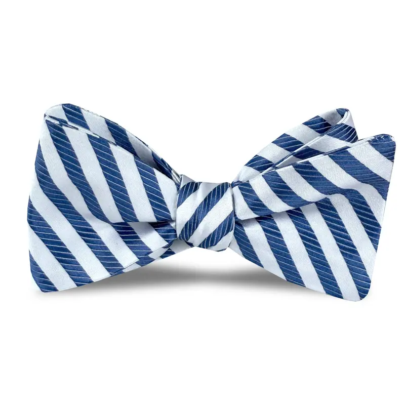 Creigh Bow Tie – Navy Blue And White 1