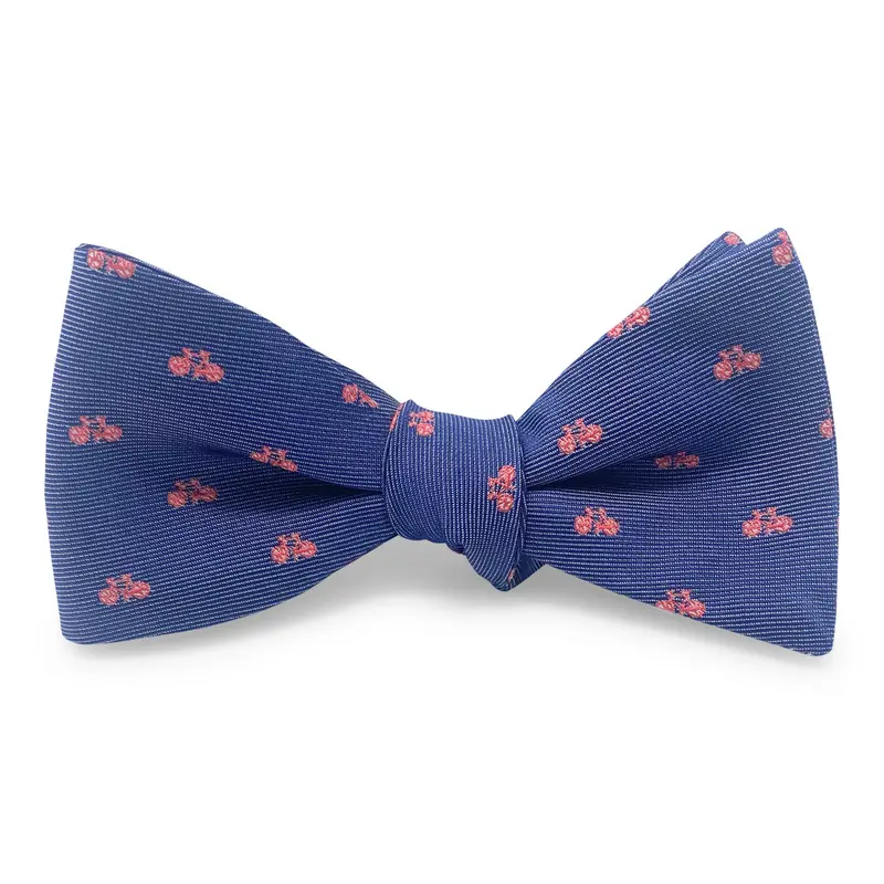 Cycling Navy Bow Motif 1