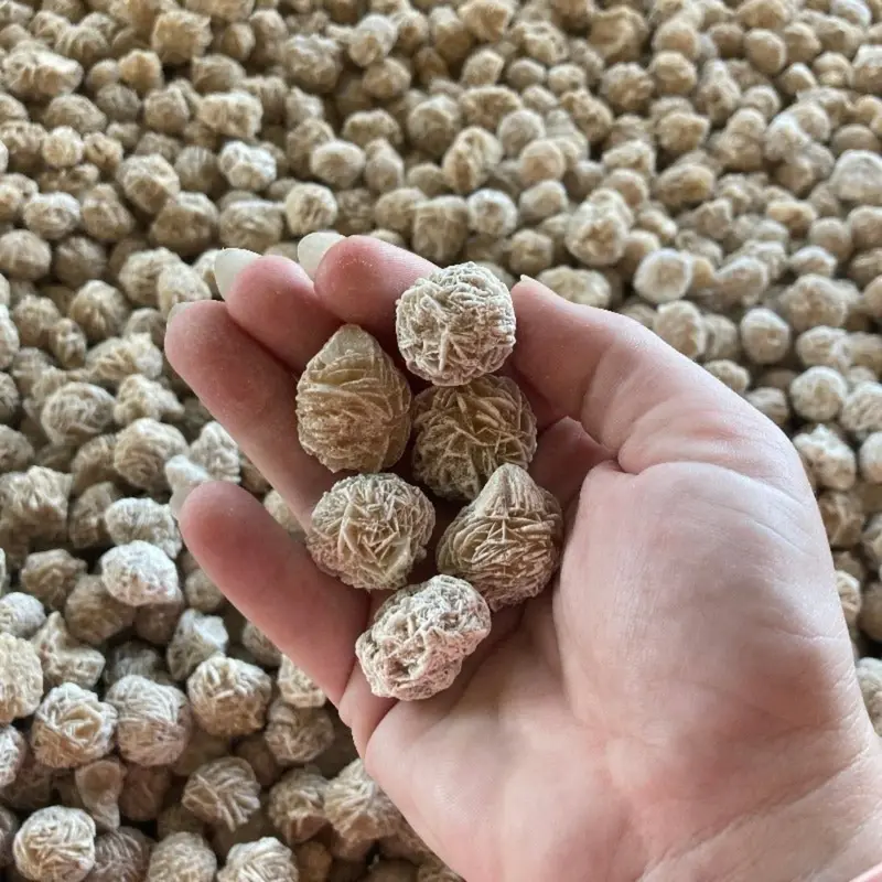 Desert Rose Selenite – Natural Sand Selenite Specimen 1