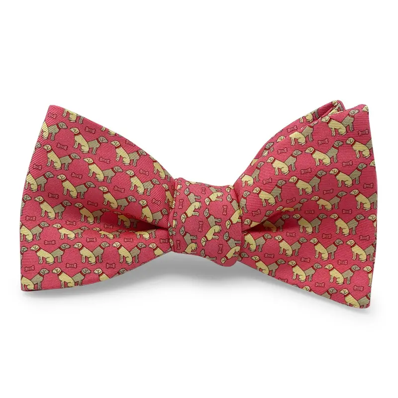 Dog Duo Coral Bow Tie 1