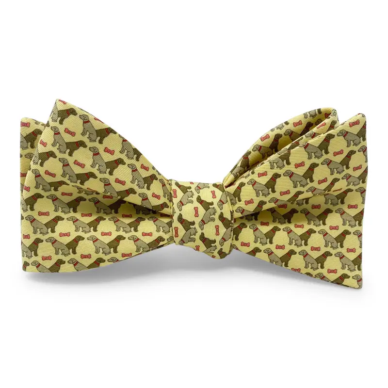 Dog Duo Yellow Bow Tie 1