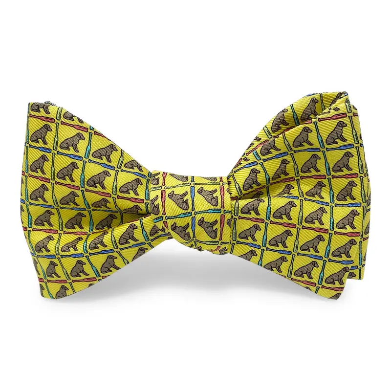 Dog Paddle Yellow Bow Theme 1