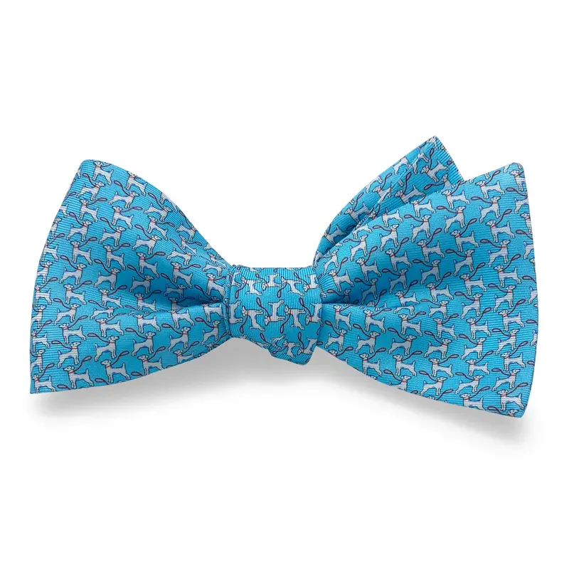 Doggie Park Aqua Bow Tie 1