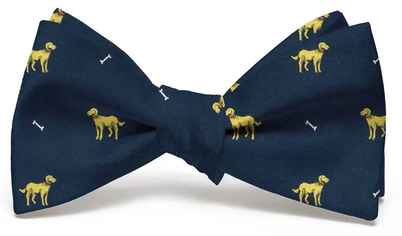 Doggone Fun Bow Tie – Navy 1