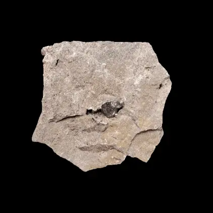 Dolomite-Bound Herkimer Diamond – Authentic New York Mineral Specimen 1