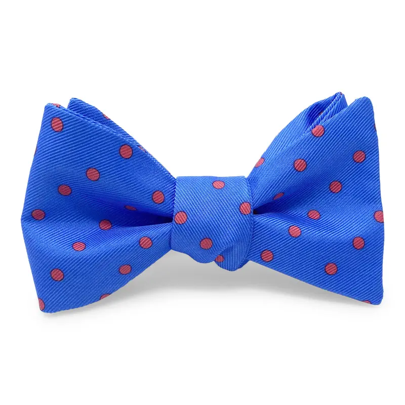 Dot Design Bow In Blue 1