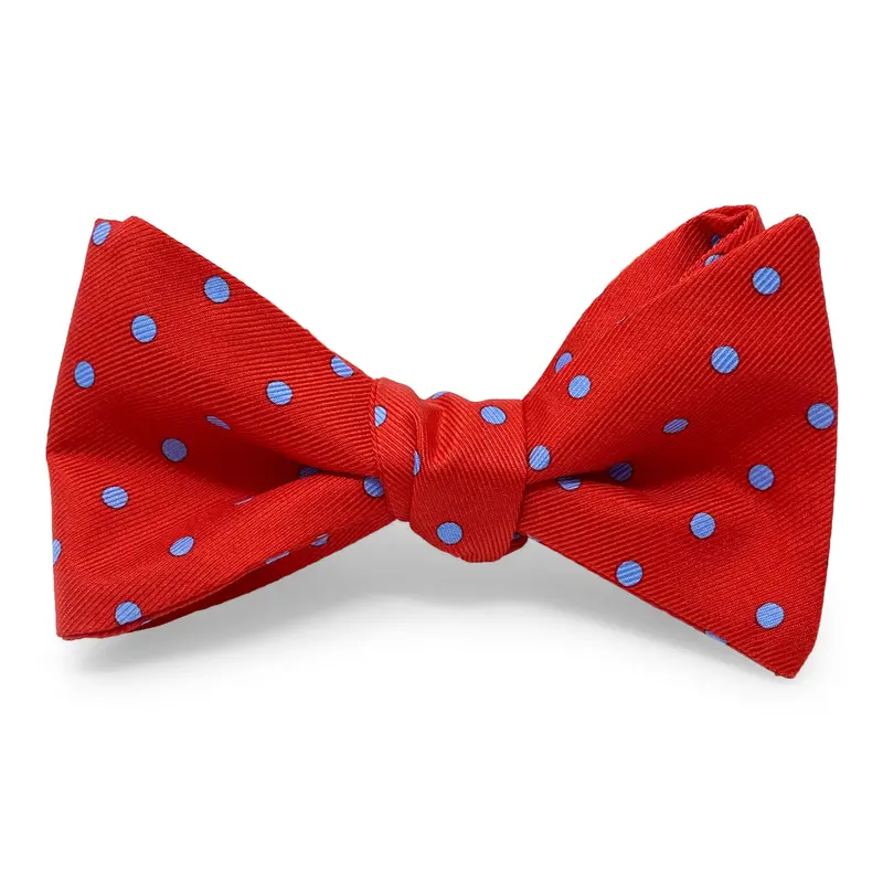 Dot Pattern Bow In Red And Blue 1