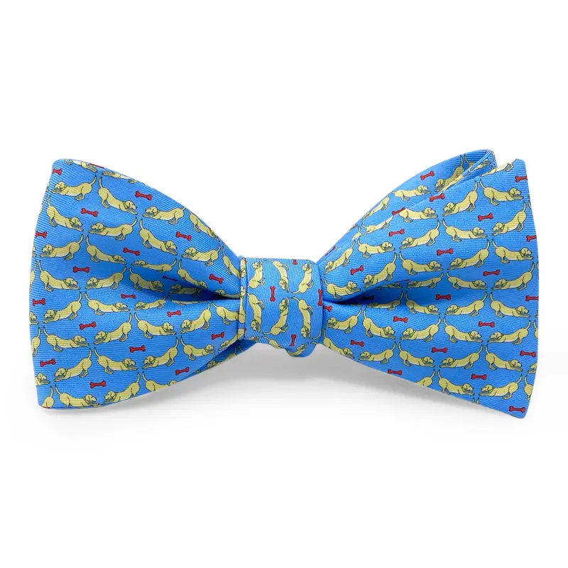 Downward Dog Bow In Blue 1