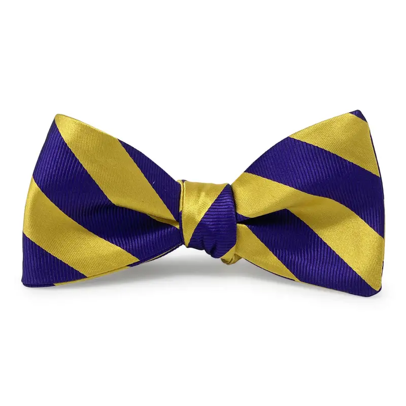 Dulles Gold And Purple Bow Tie 1