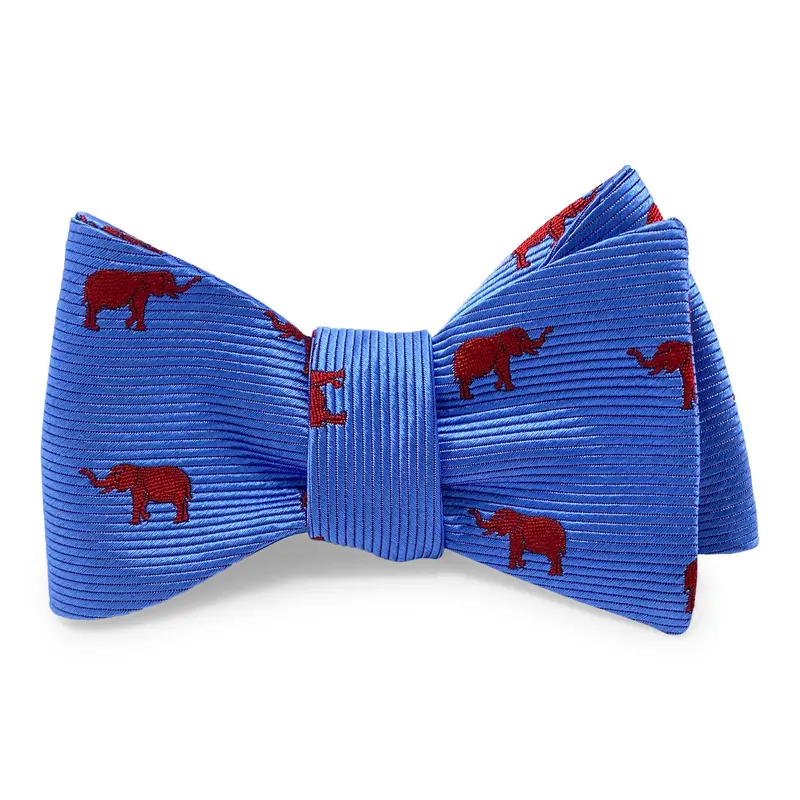 Elephant Motif Bow – Blue 1