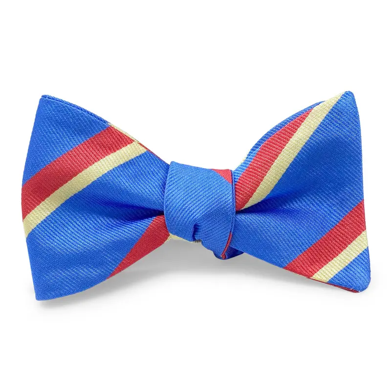 Essex Design Bow – Blue 1