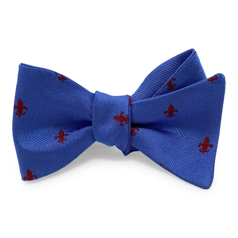 Fleur De Lis Bow In Blue 1