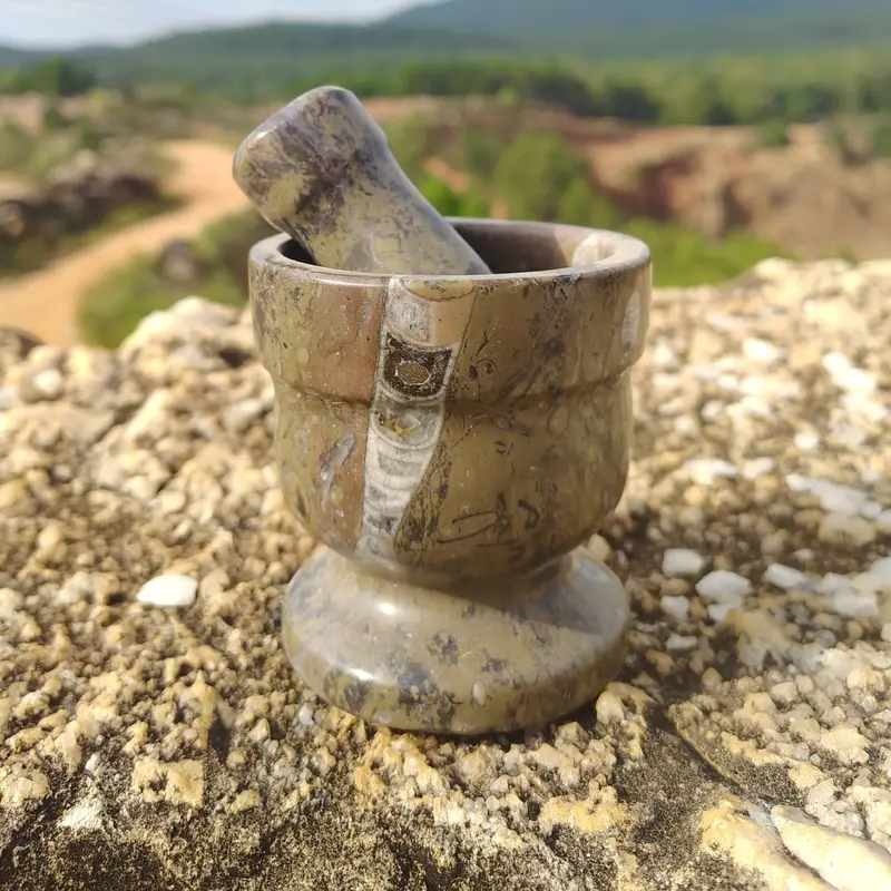Fossilized Mortar And Pestle Set – Natural Spice Grinder Duo 1