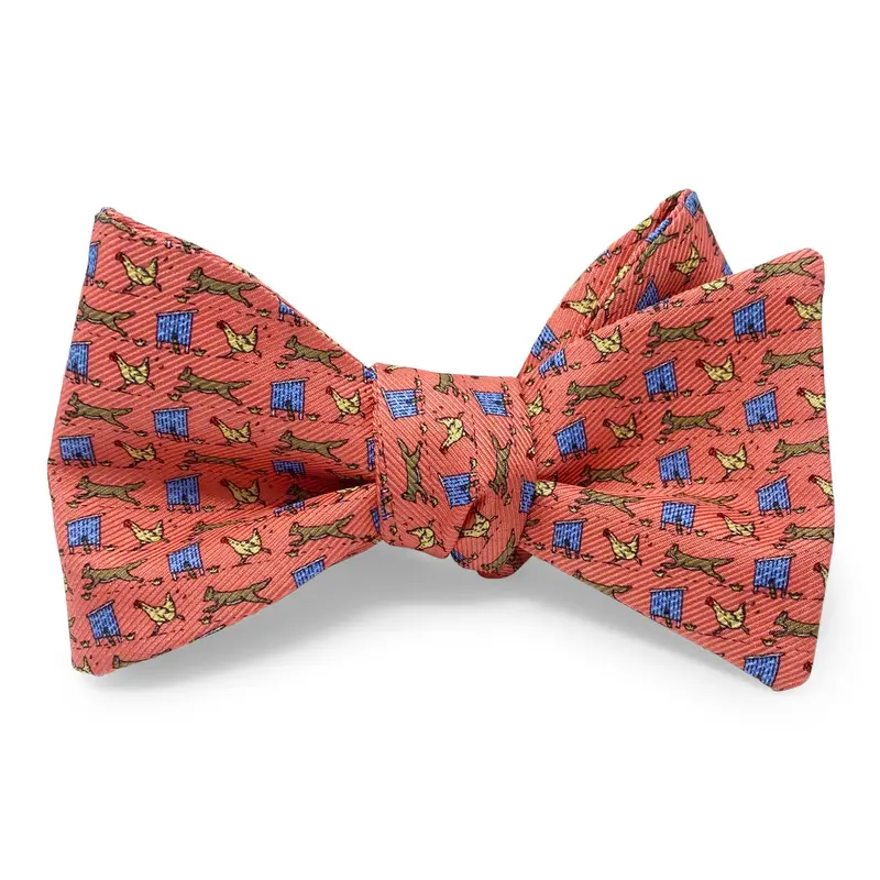 Fox In The Hen House Bow In Pink 1